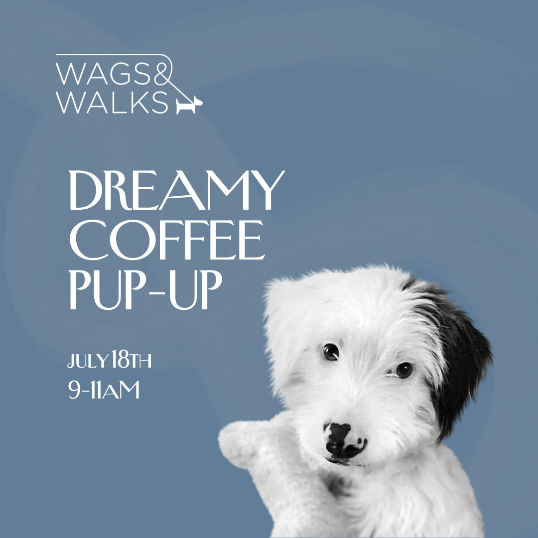 7.18.26 | Pup-Up at Dreamy Coffee