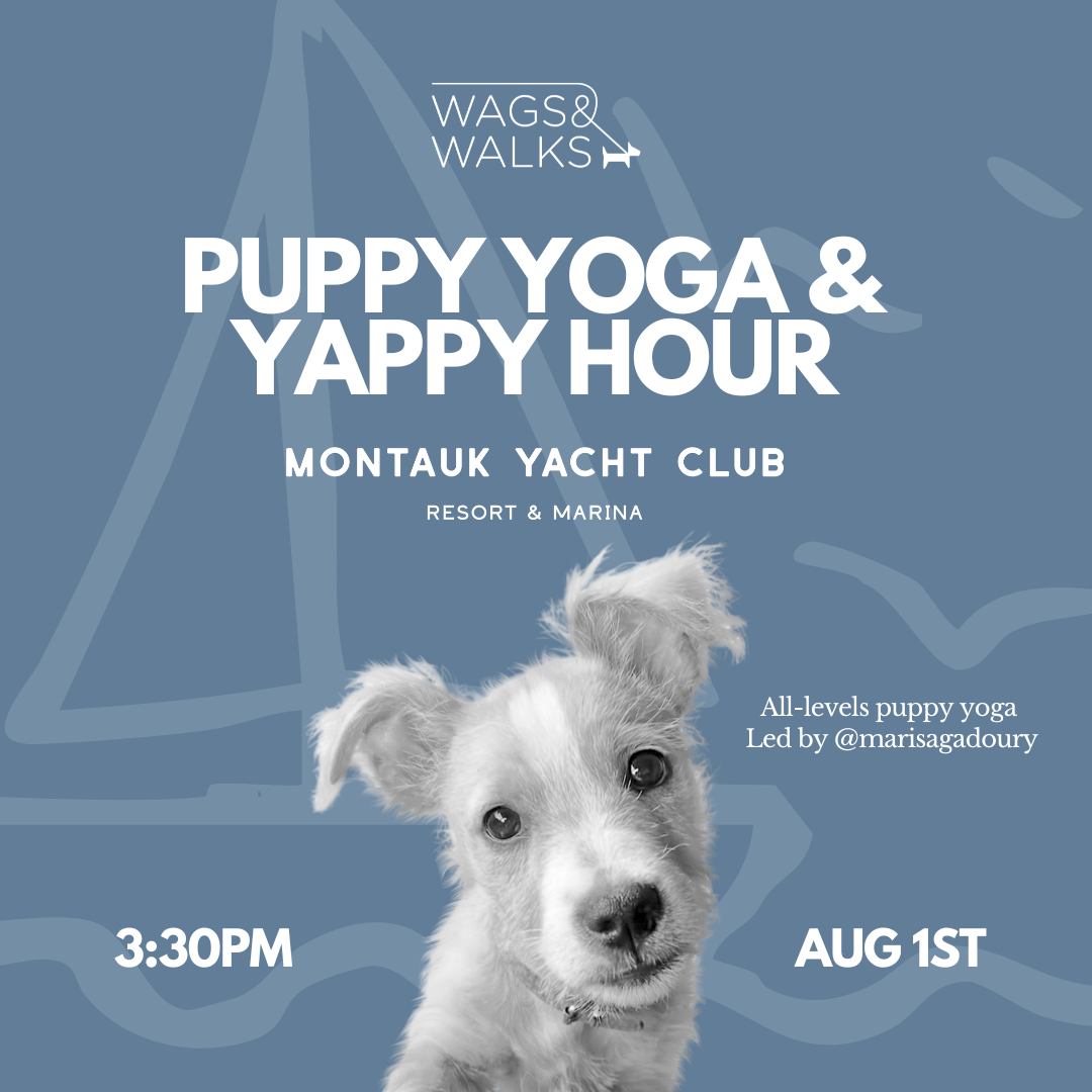 8.1.26 | Puppy Yoga &amp; Yappy Hour at Montauk Yacht Club
