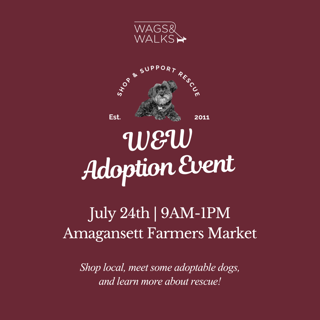 7.24.26 | Adoption Pup-Up Amagansett Farmers Market