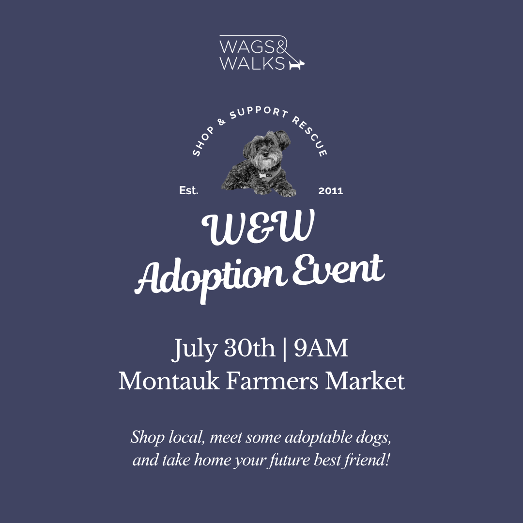 7.30.26 | Adoption Pup-Up at Montauk Farmers Market