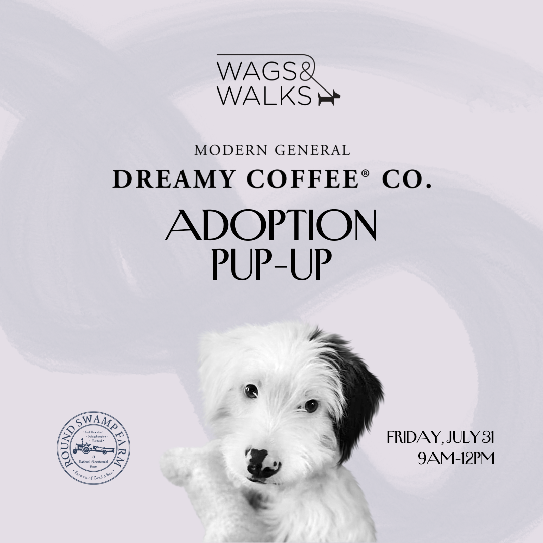 7.31.26 | Adoption Pup-Up at Dreamy Coffee