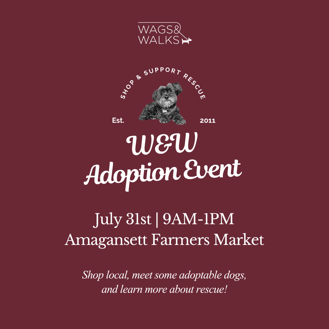 7.31.26 | Adoption Pup-Up Amagansett Farmers Market