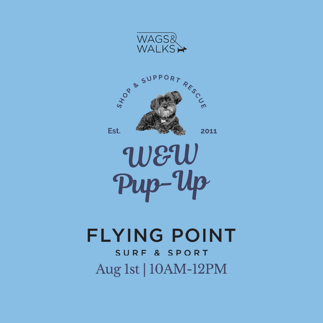 8.01.26 | Pup-Up at Flying Point Surf &amp; Sport