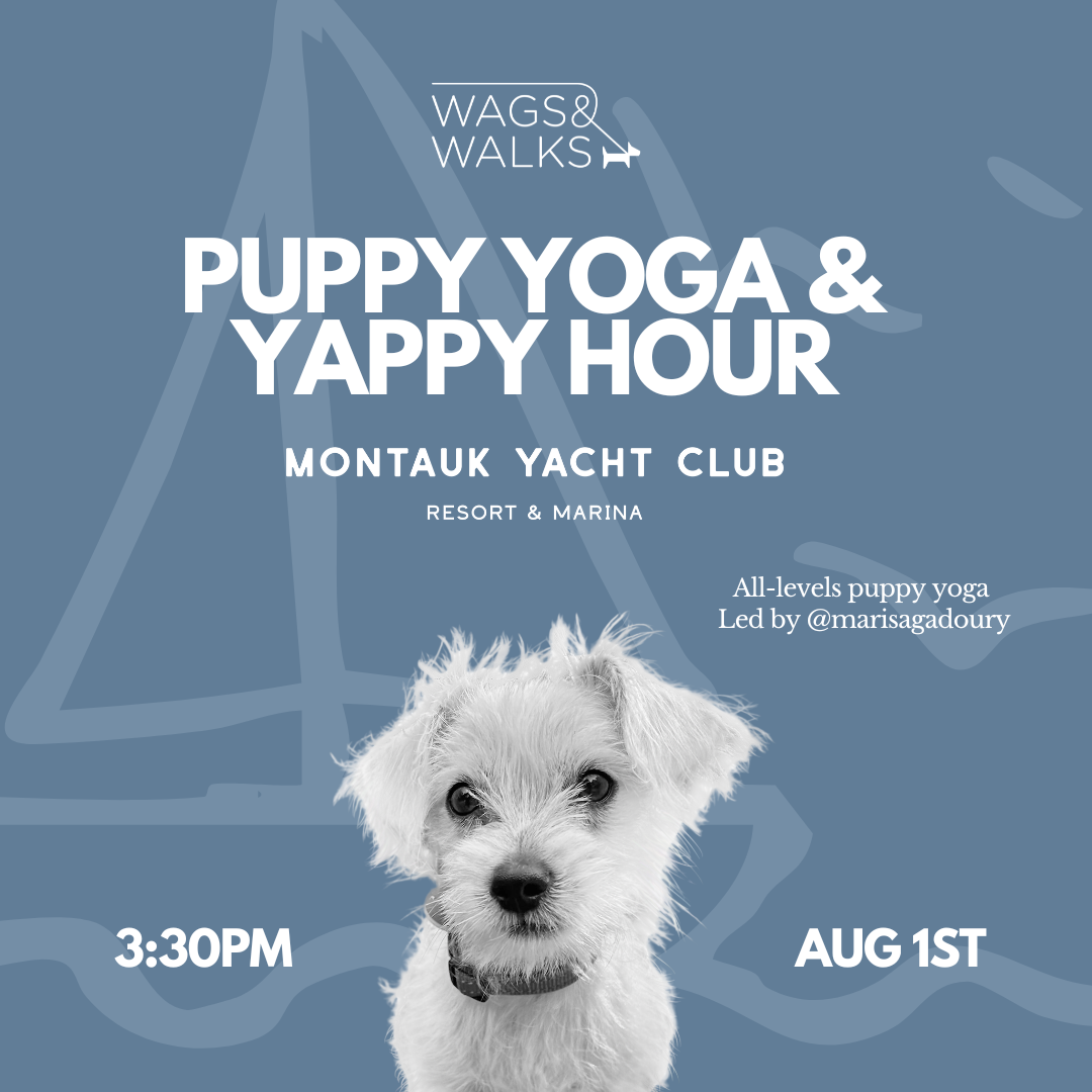 8.1.26 | Puppy Yoga &amp; Yappy Hour at Montauk Yacht Club