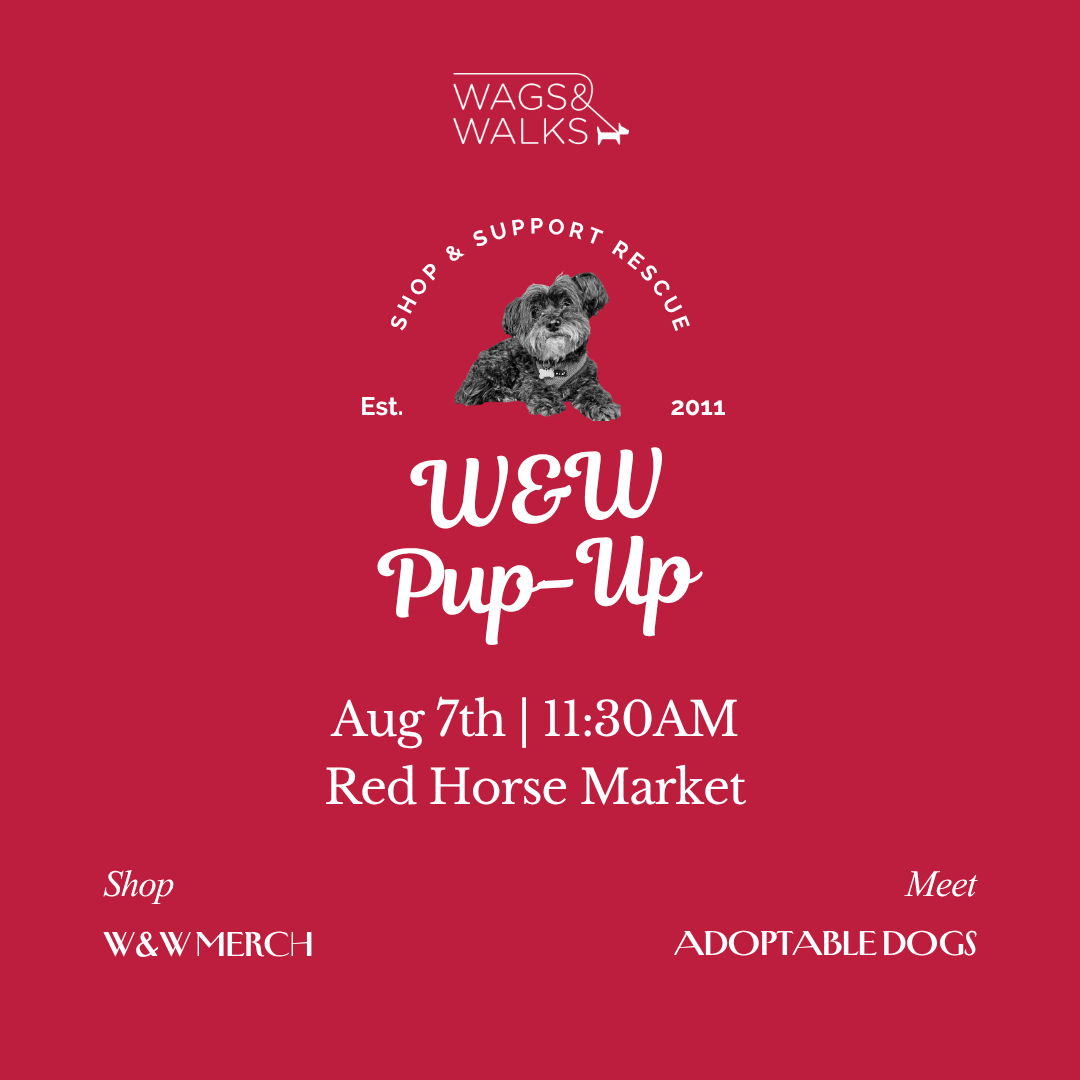 7.17.26 | Pup-Up at Red Horse Market