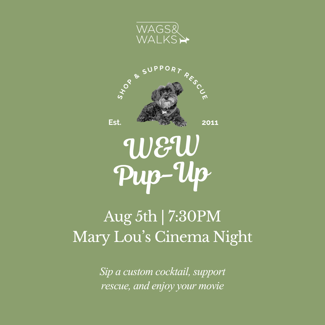 8.05.26 | Cinema Night at Mary Lou’s 