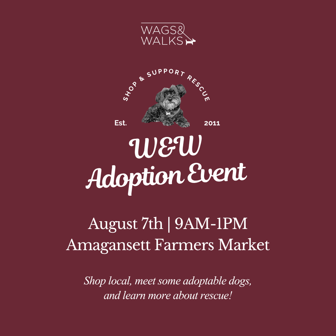 8.07.26 | Adoption Pup-Up Amagansett Farmers Market 