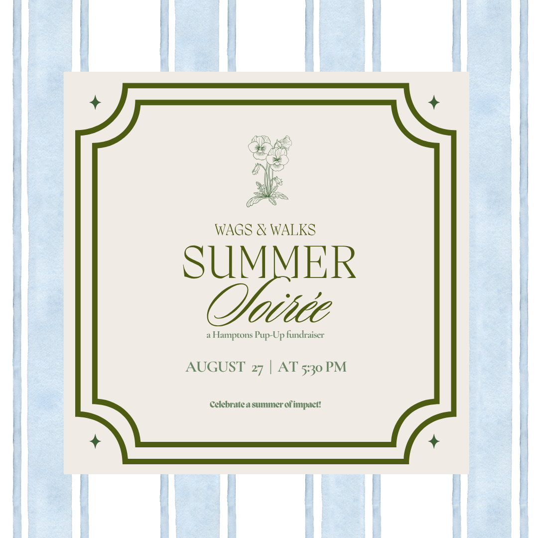 8.27.26 | Wags &amp; Walks End of Summer Soiree