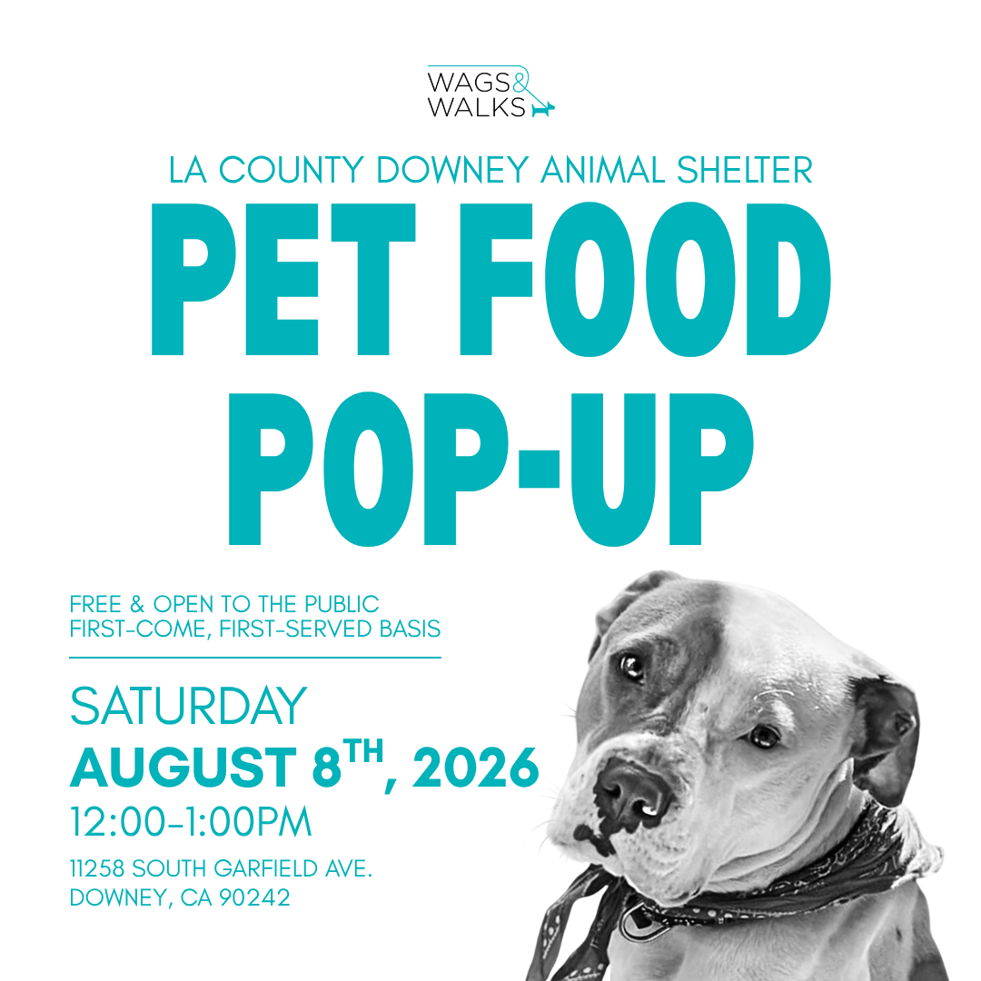 Wags For Good: Dog Food Pop-Up 