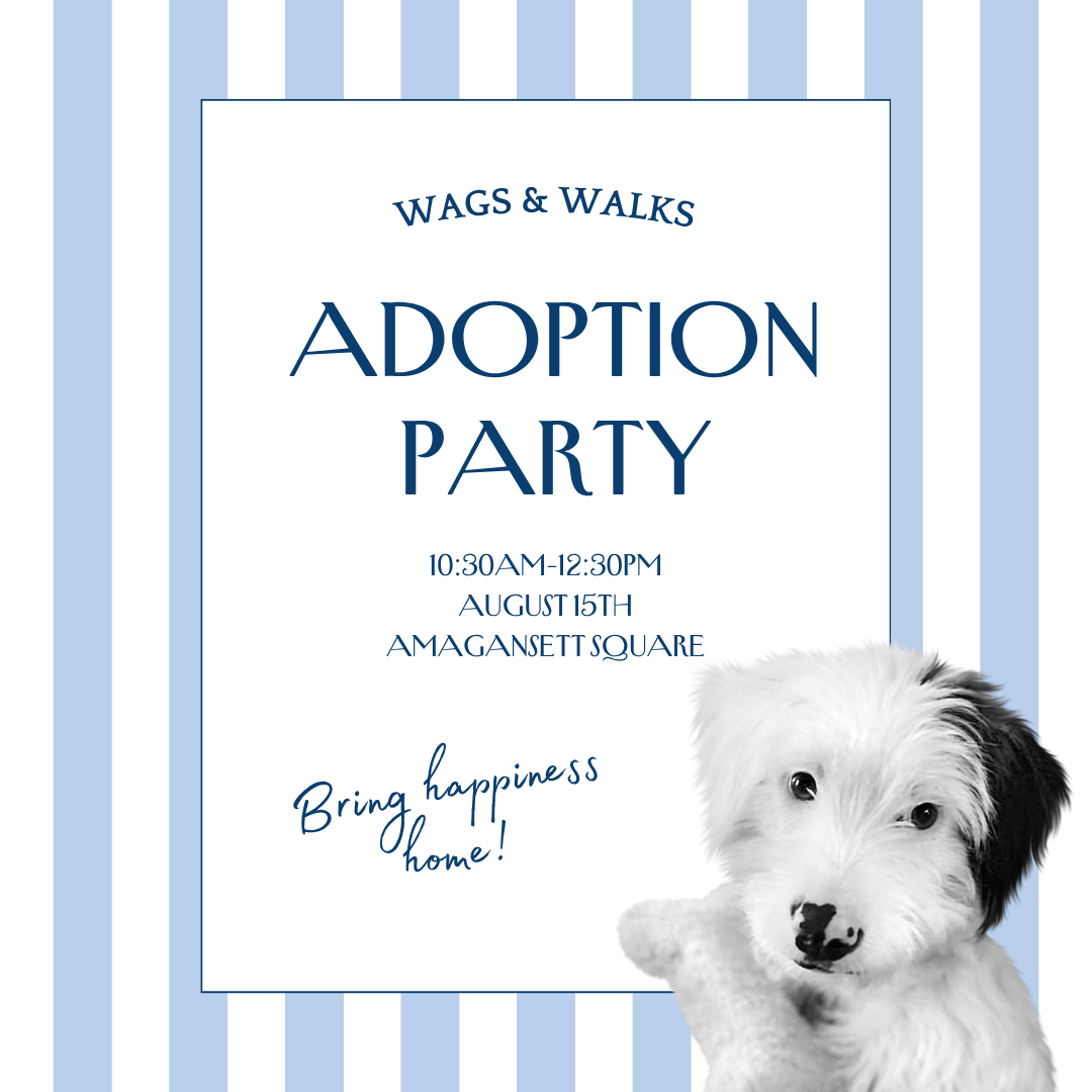8.15.26 | Adoption Party in the Square