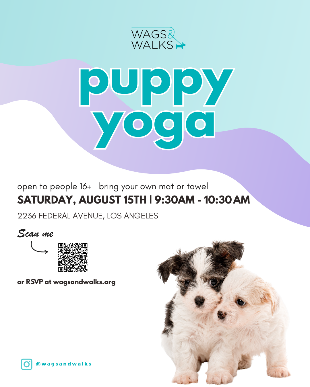 Puppy Yoga @ Wags &amp; Walks