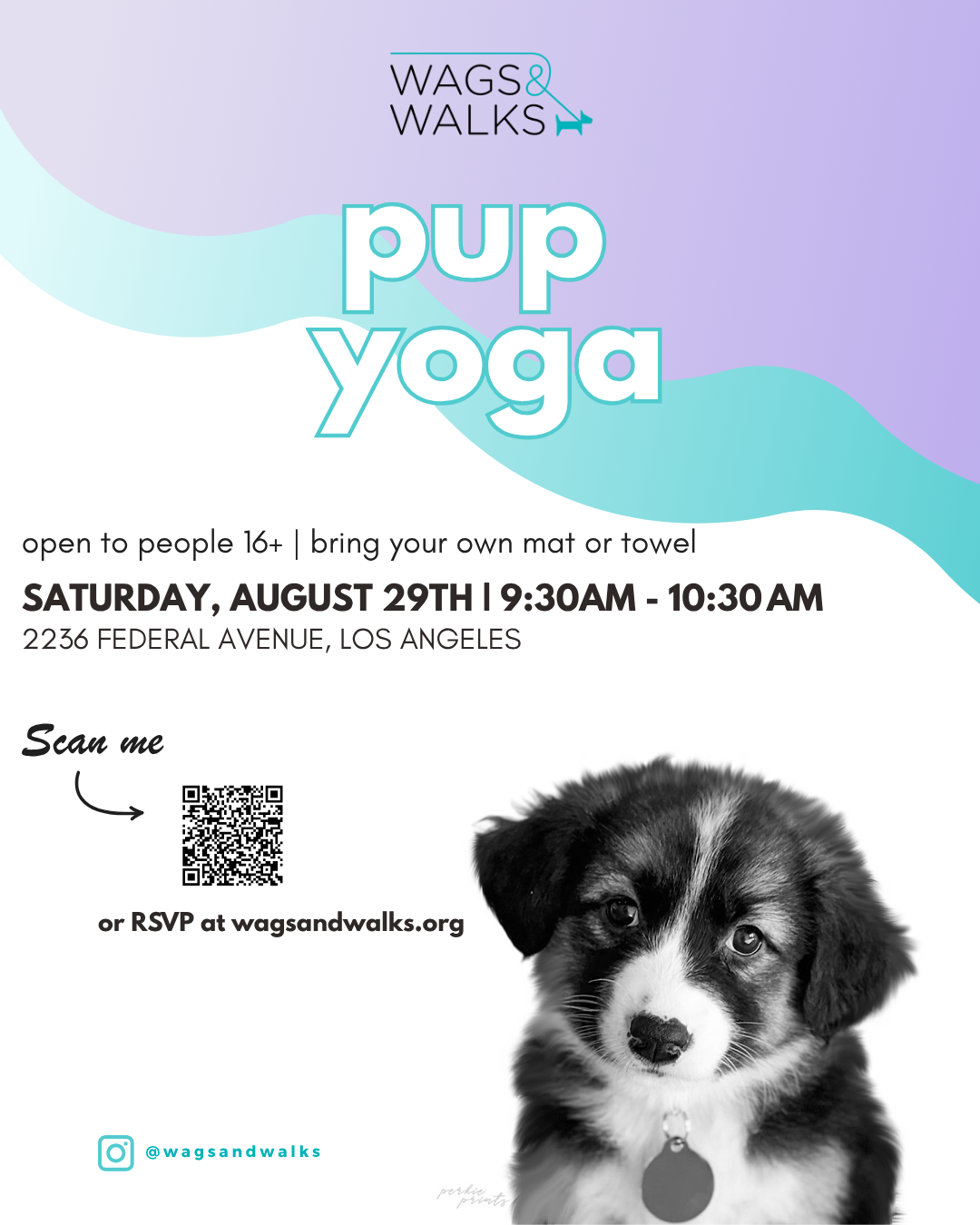 Pup Yoga @ Wags &amp; Walks (August 29th)