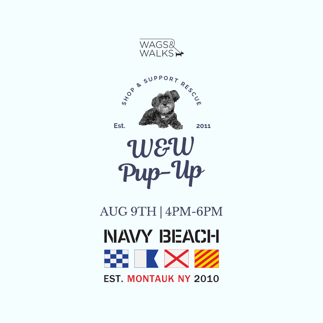 8.09.26 | Yappy Hour at Navy Beach