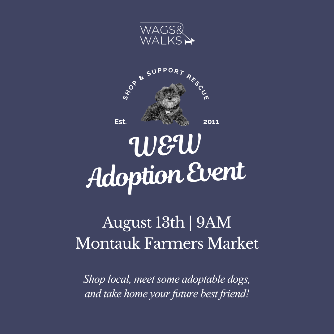 8.13.26 | Adoption Pup-Up at Montauk Farmers Market