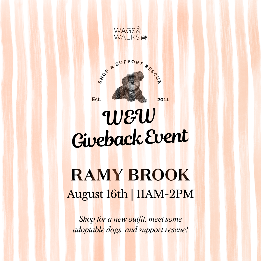 8.16.26 | Ramy Brook Giveback Event