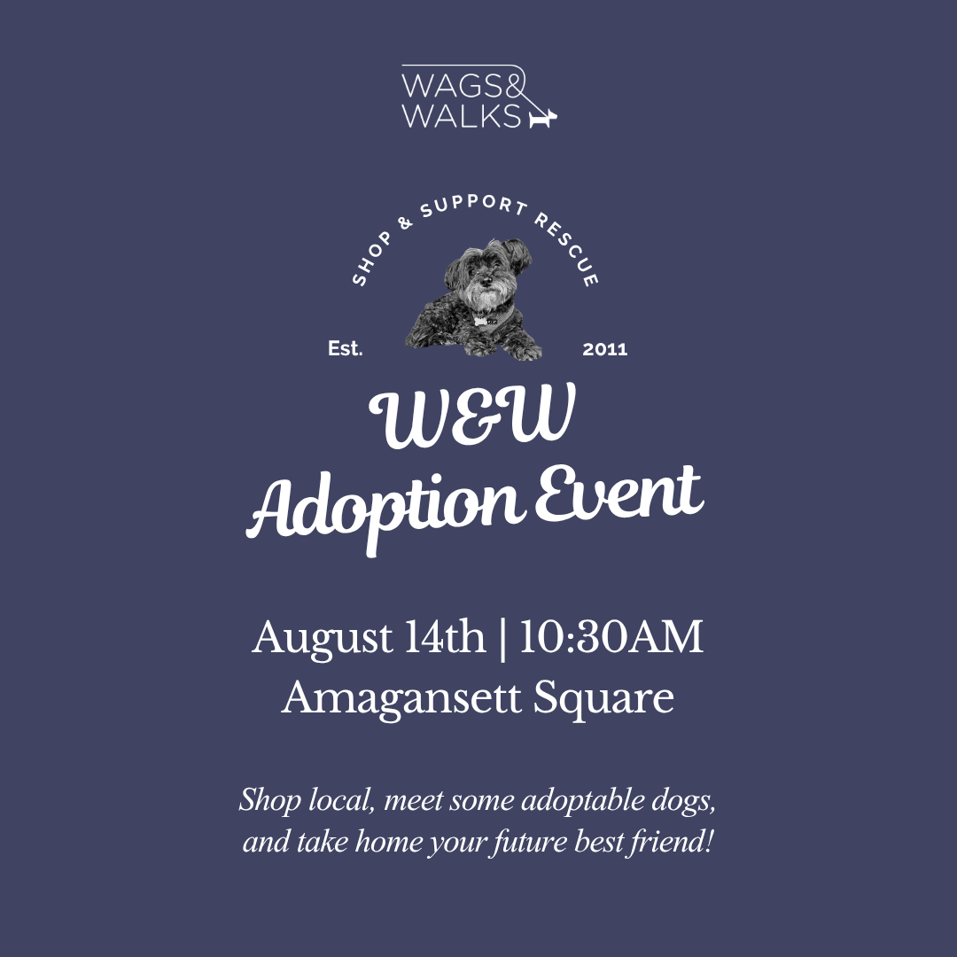 8.15.26 | Amagansett Square Adoption Event