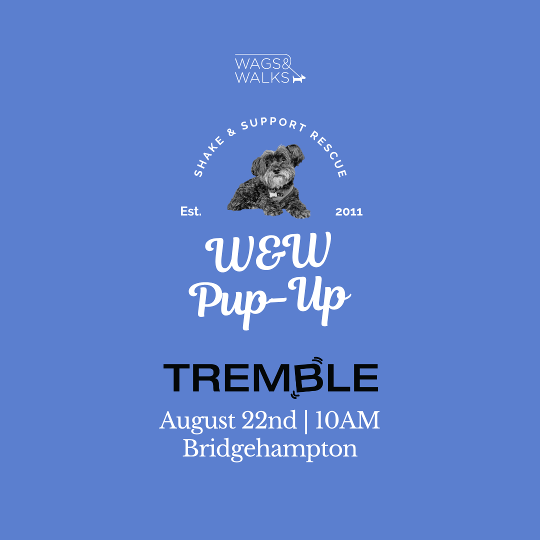 8.22.26 | Giveback Class @ Tremble 