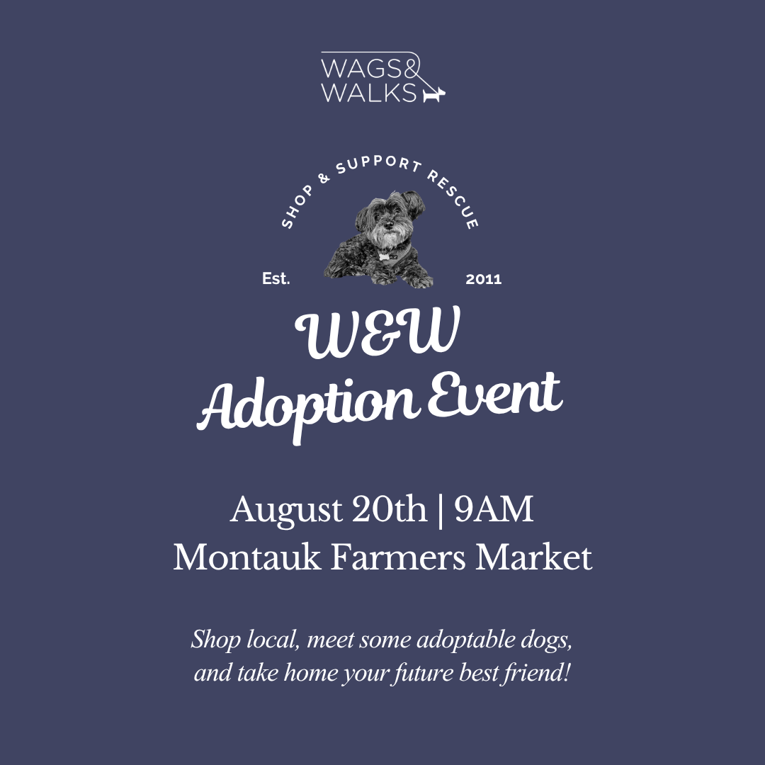8.20.26 | Pup-Up at Montauk Farmers Market