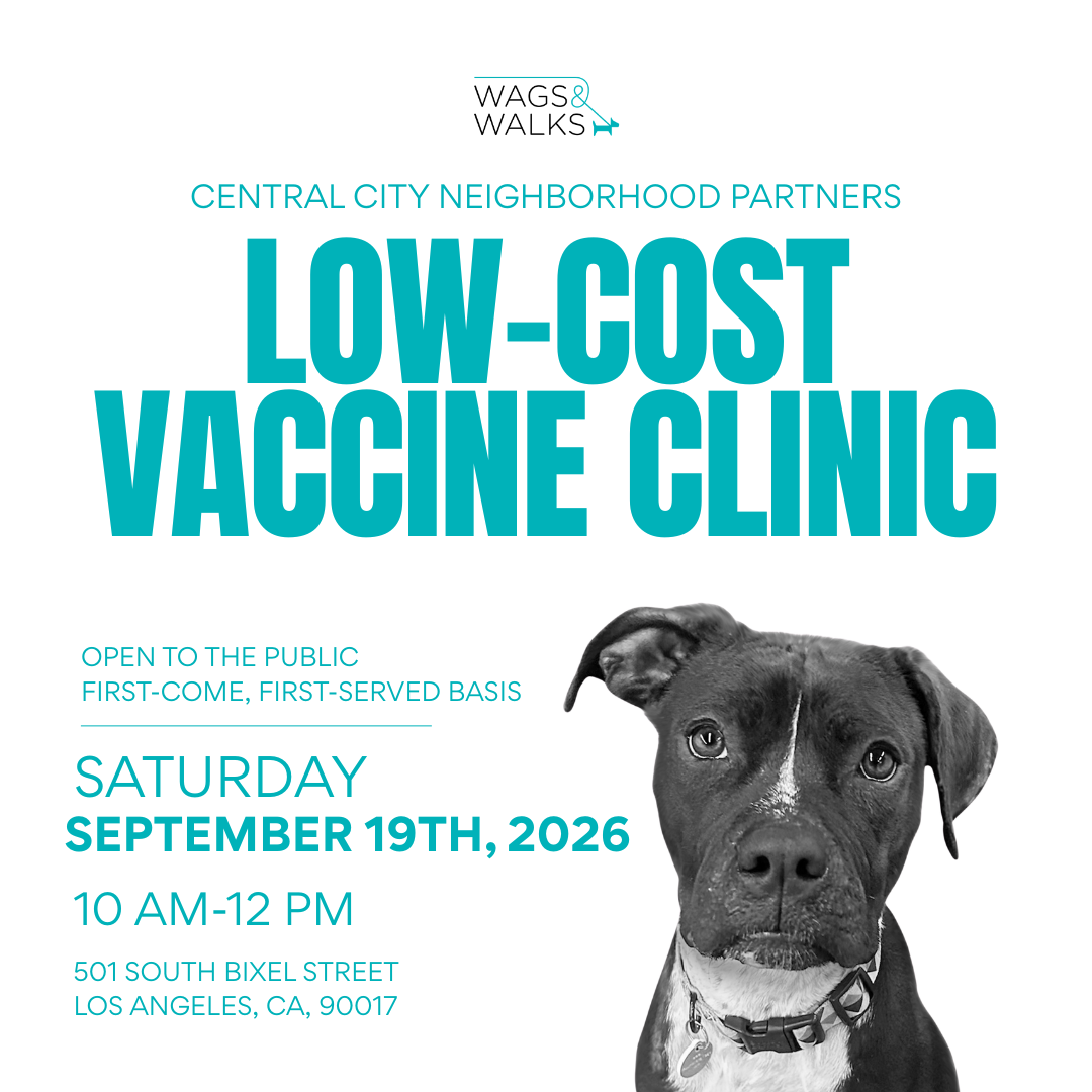 Wags For Good: Vaccine Clinic