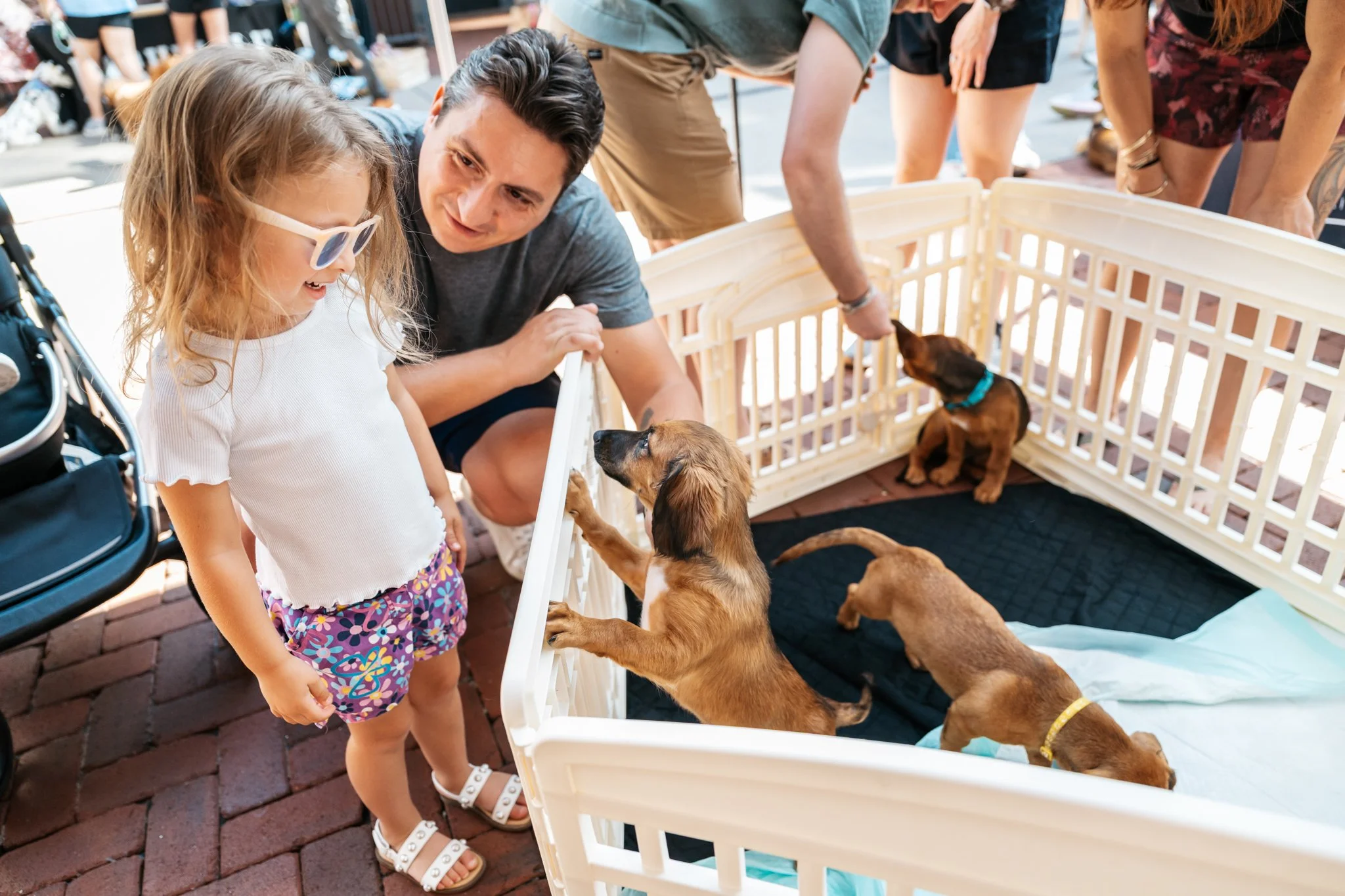 BarksonBroadway09.13.25-67.jpg