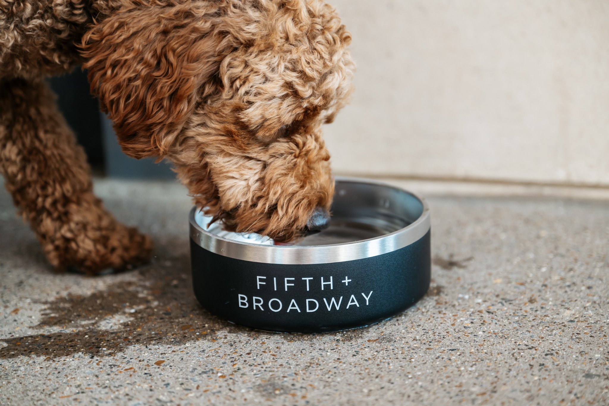 BarksonBroadway09.13.25-44.jpg
