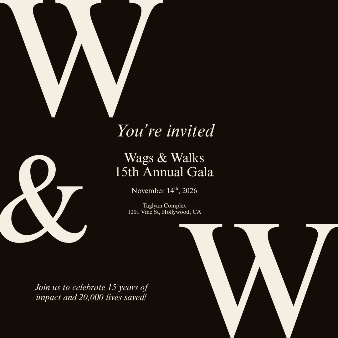 Wags &amp; Walks Gala