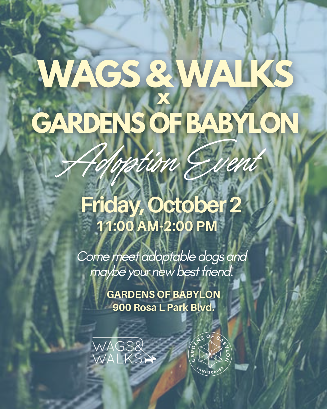 Gardens of Babylon Adoption Event