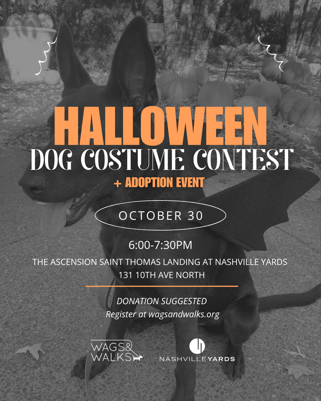 Halloween Dog Costume Contest