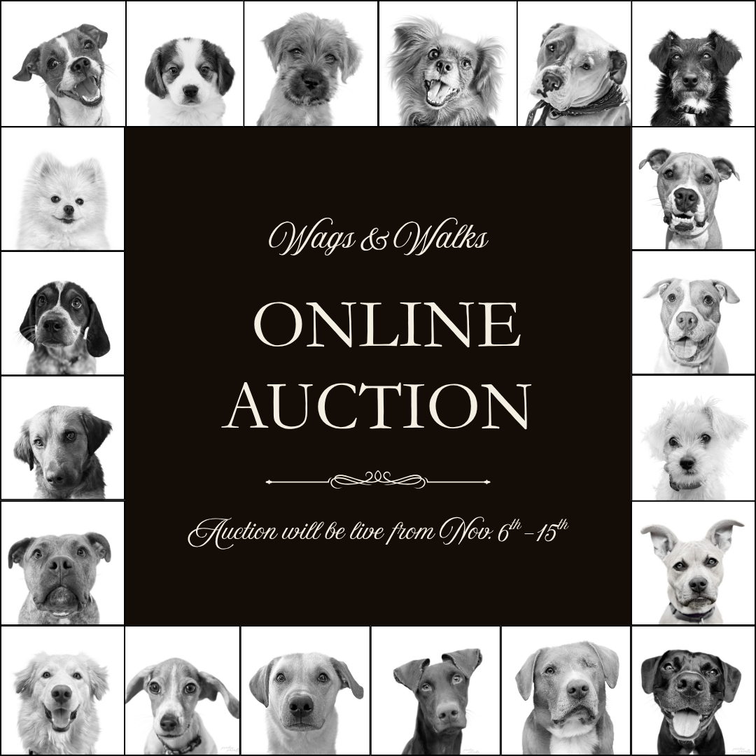 Wags & Walks Online Auction