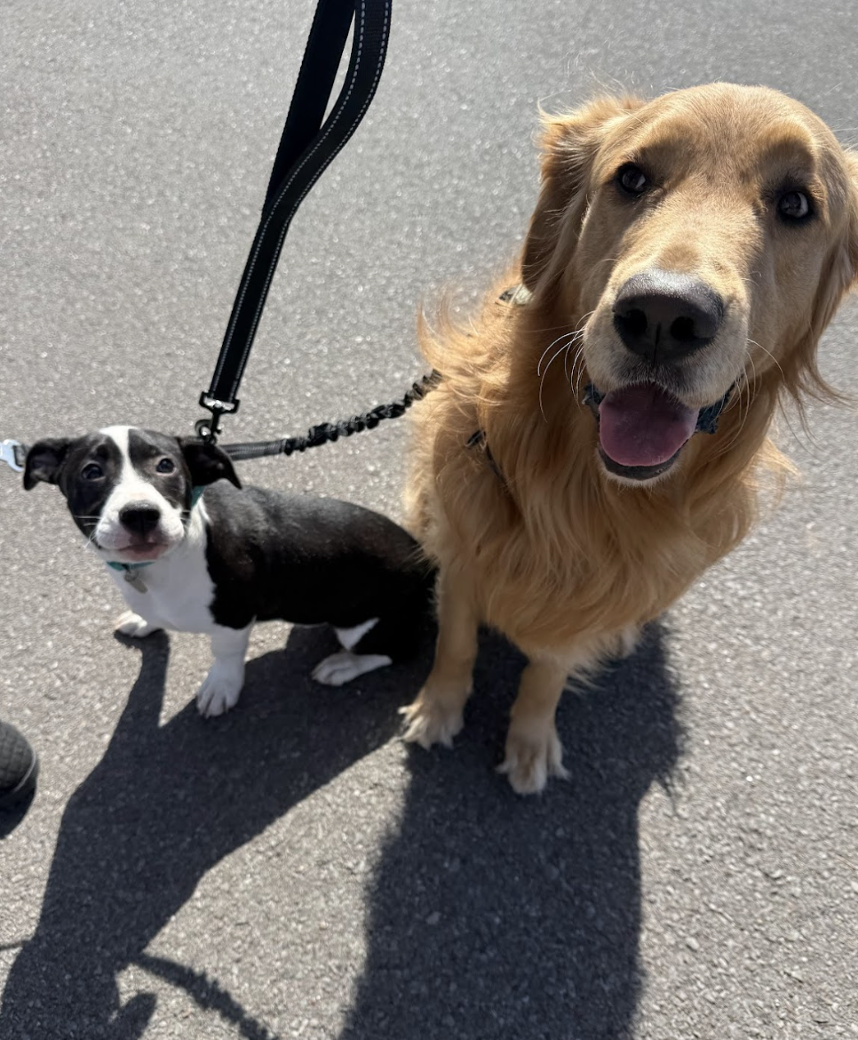 Screenshot 2026-02-16 at 6.38.35 PM.png