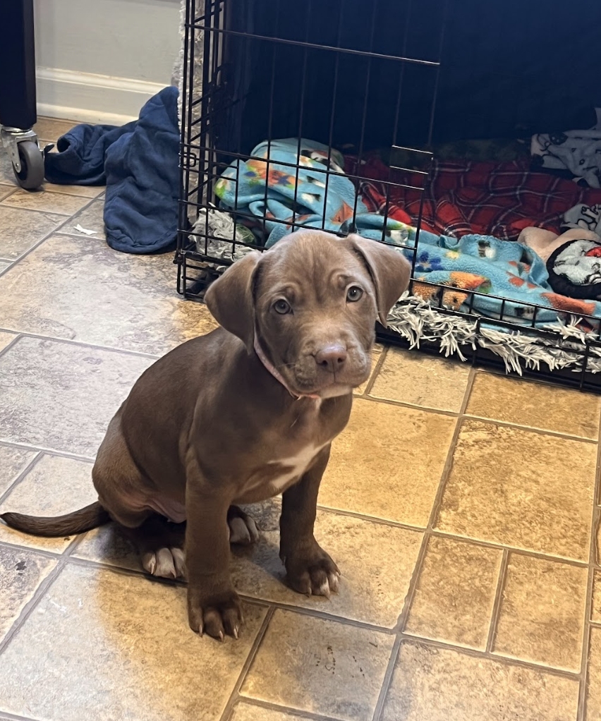 Screenshot 2025-12-31 at 1.27.11 PM.png