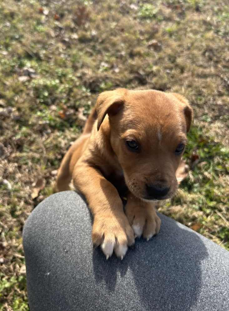 Screenshot 2025-12-18 at 1.43.08 PM.png