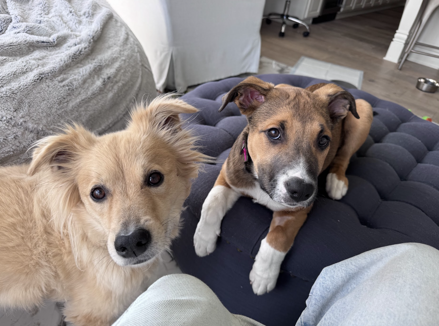 Screenshot 2026-04-03 at 2.12.35 PM.png