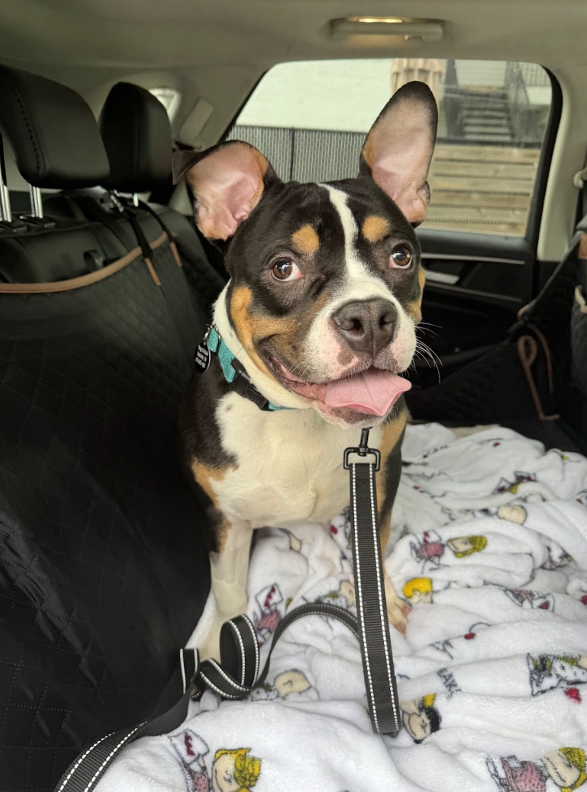 Screenshot 2026-03-06 at 2.22.18 PM.png