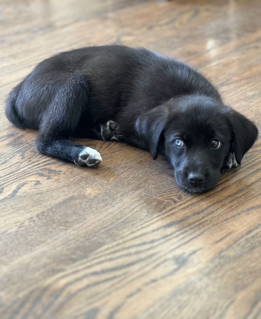 Screenshot 2026-04-16 at 5.02.08 PM.png