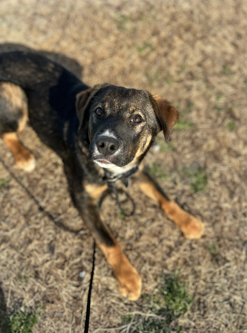 Screenshot 2026-02-25 at 12.51.12 PM.png