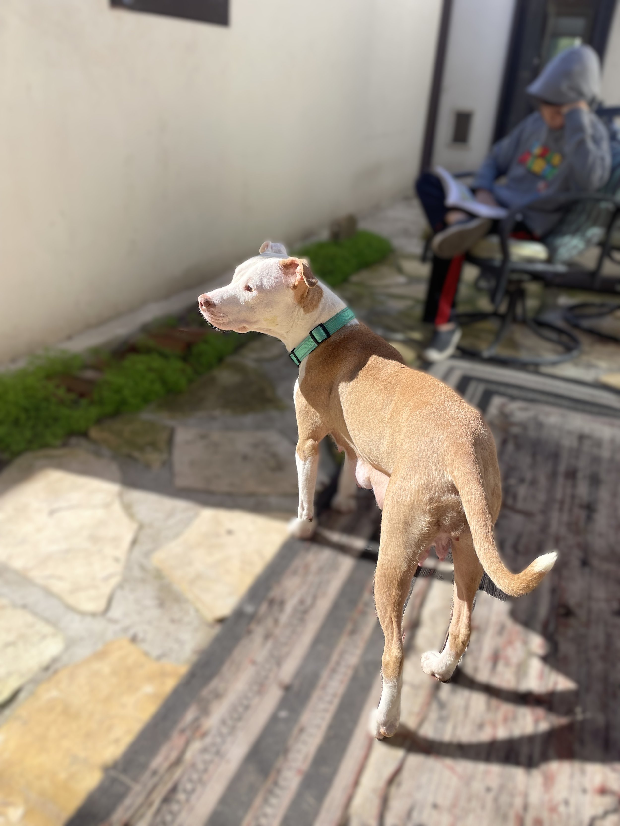 Photo Nov 26 2025, 11 15 45 AM_2.jpg