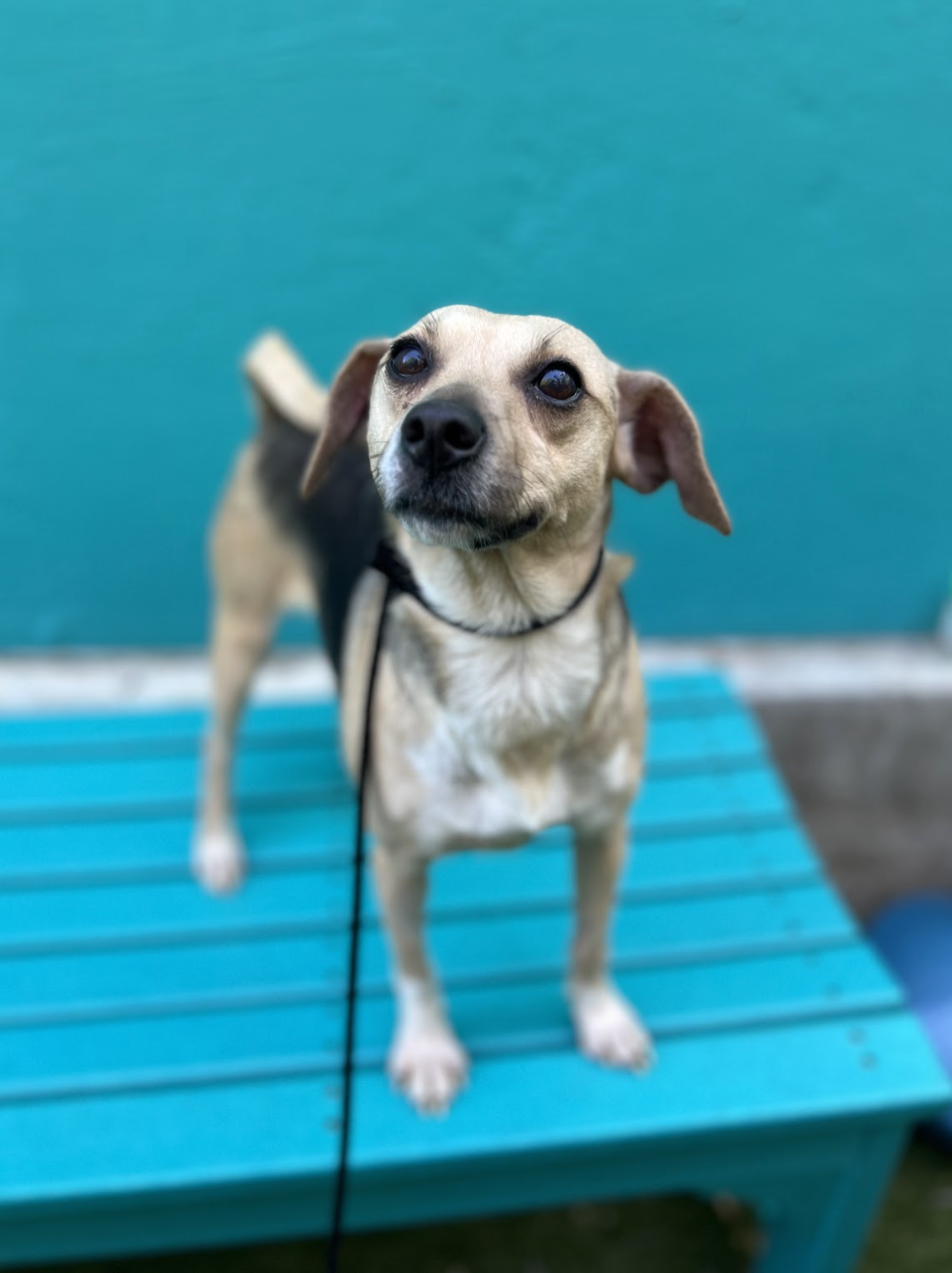 Screenshot 2026-04-23 at 2.33.44 PM.png