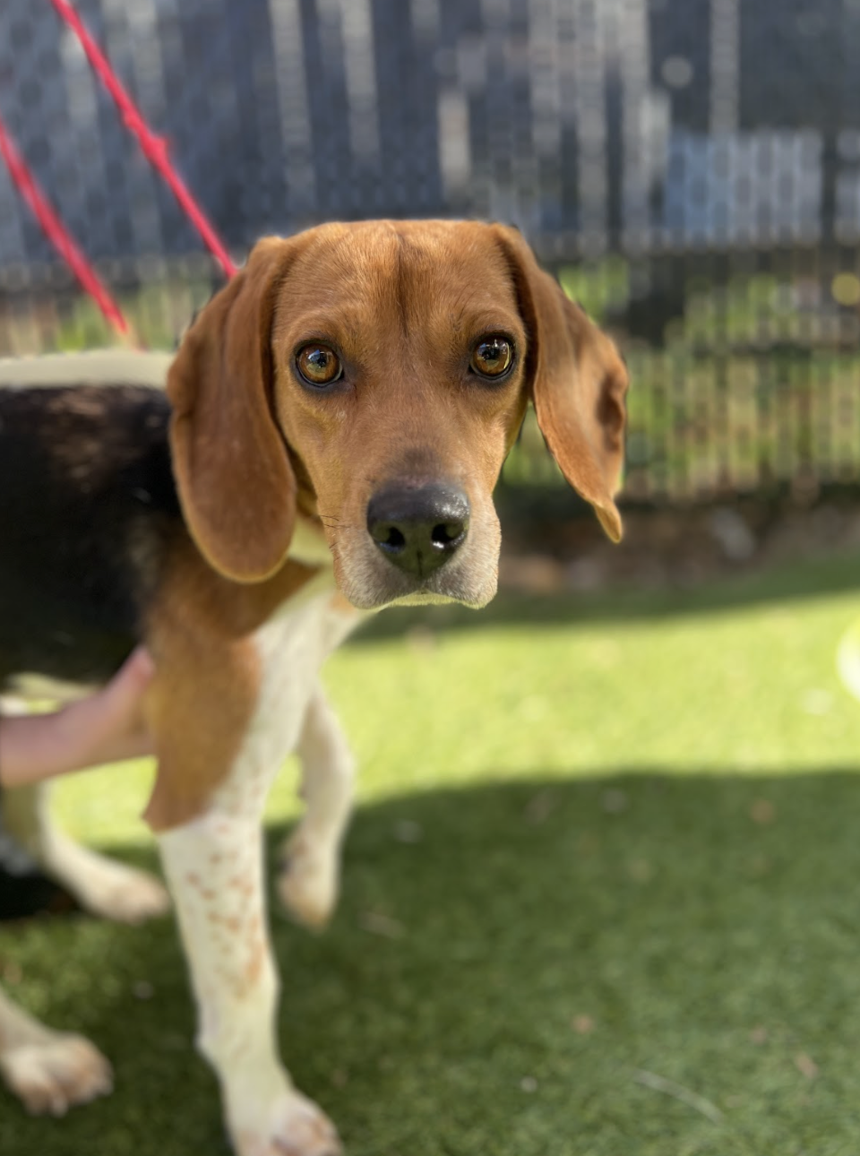 Screenshot 2026-01-26 at 12.25.14 PM.png