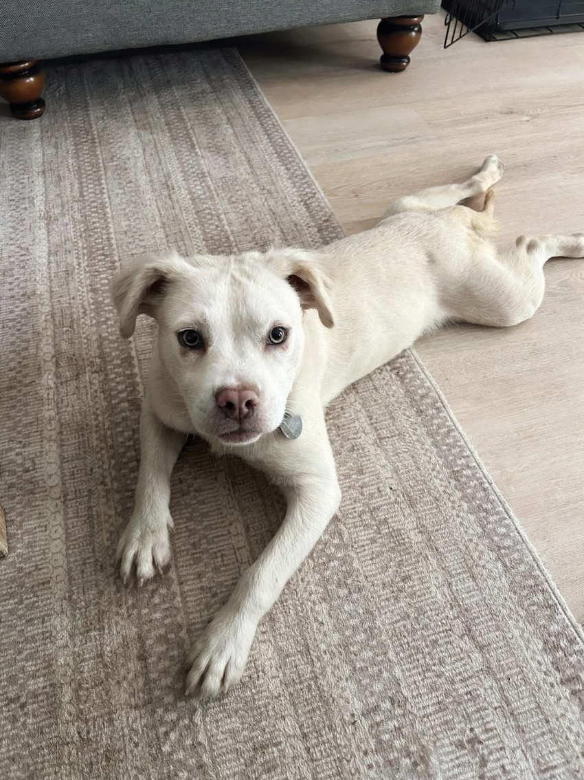 Screenshot 2026-04-22 at 5.43.55 PM.png