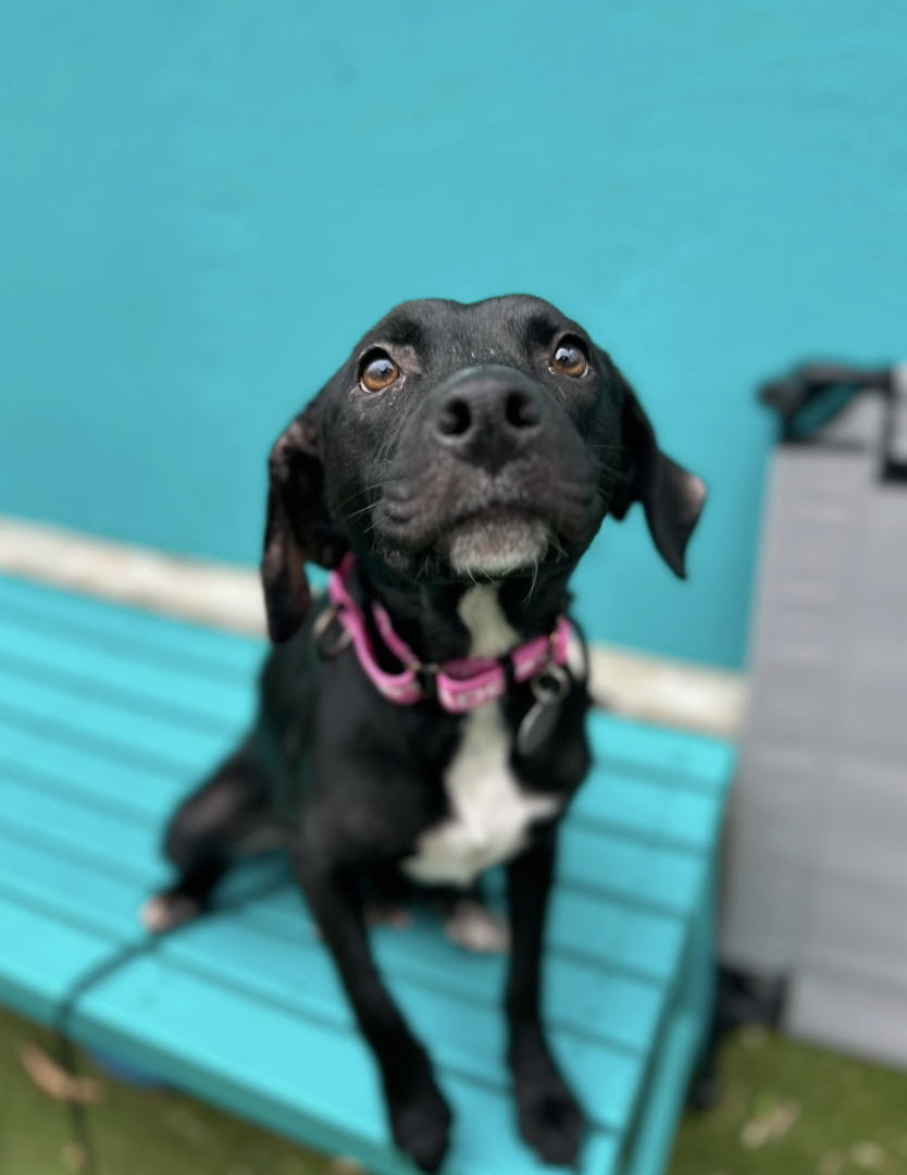 Screenshot 2026-02-05 at 2.29.43 PM.png