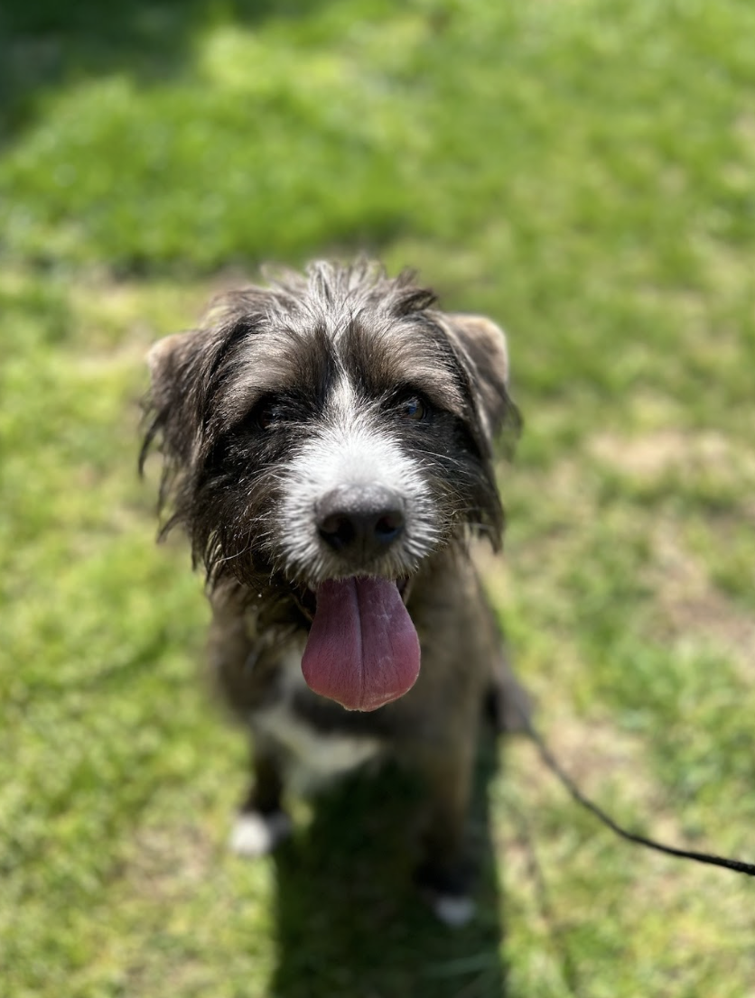 Screenshot 2026-03-26 at 2.29.16 PM.png