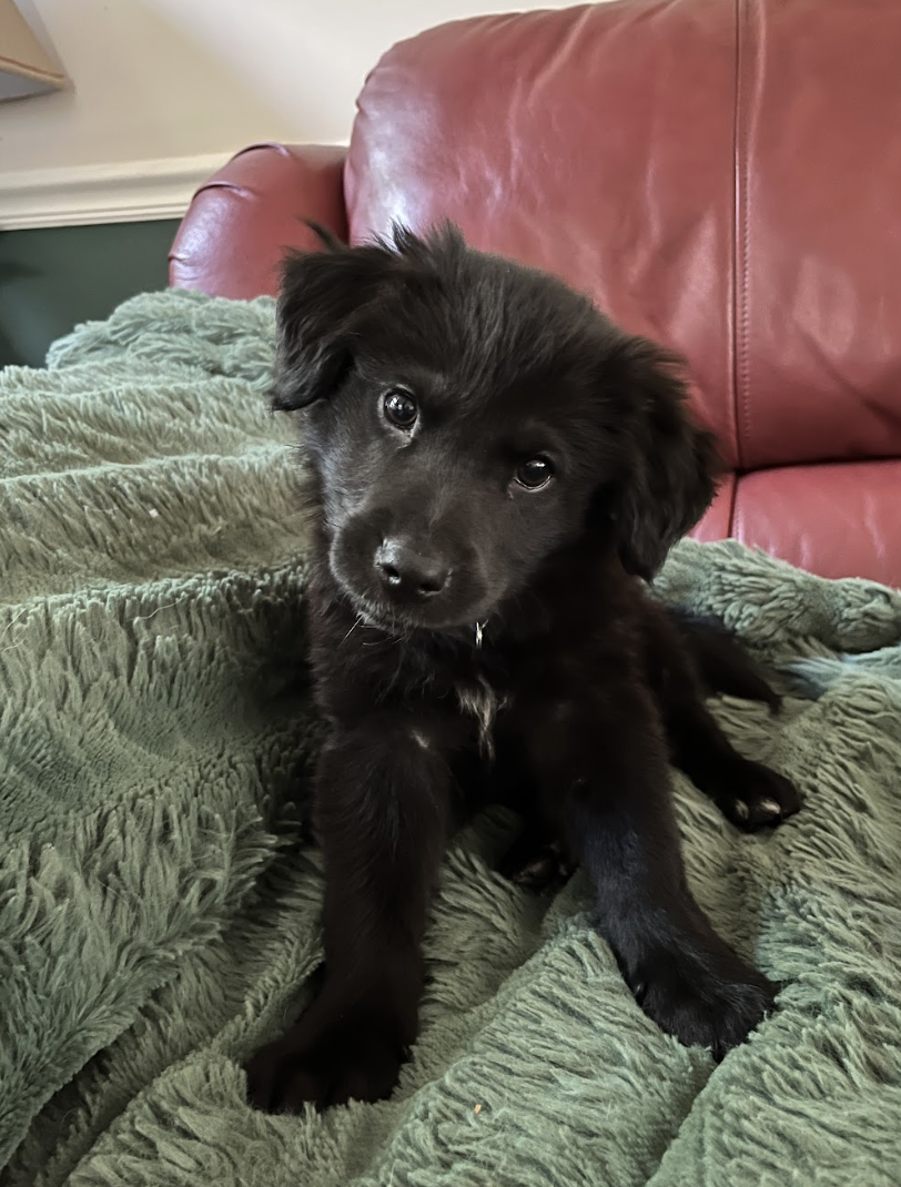 Screenshot 2026-04-23 at 8.02.18 PM.png