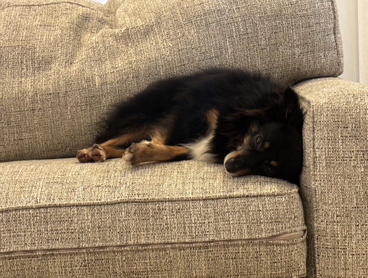 Screenshot 2026-01-24 at 4.46.34 PM.png