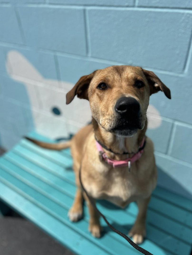 Screenshot 2026-03-14 at 5.06.59 PM.png