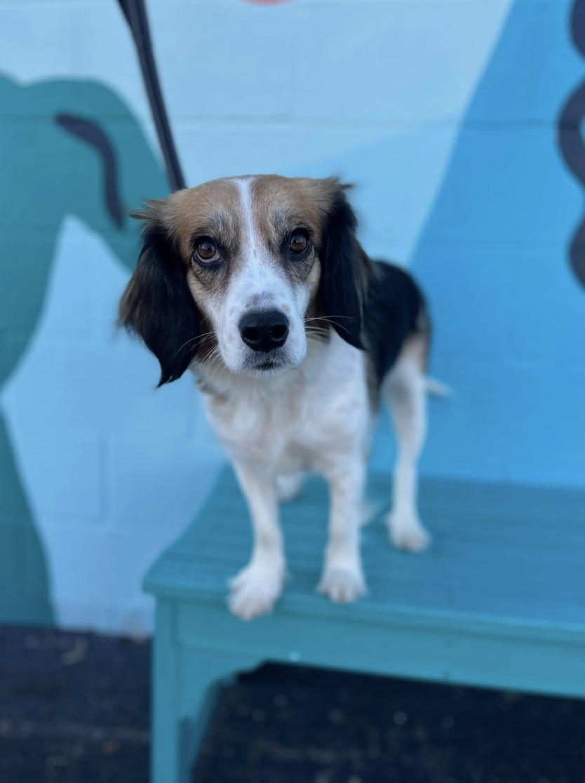 Screenshot 2026-03-17 at 12.01.35 PM.png