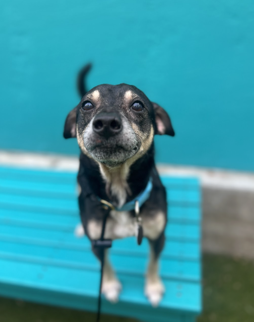 Screenshot 2026-04-21 at 1.42.49 PM.png