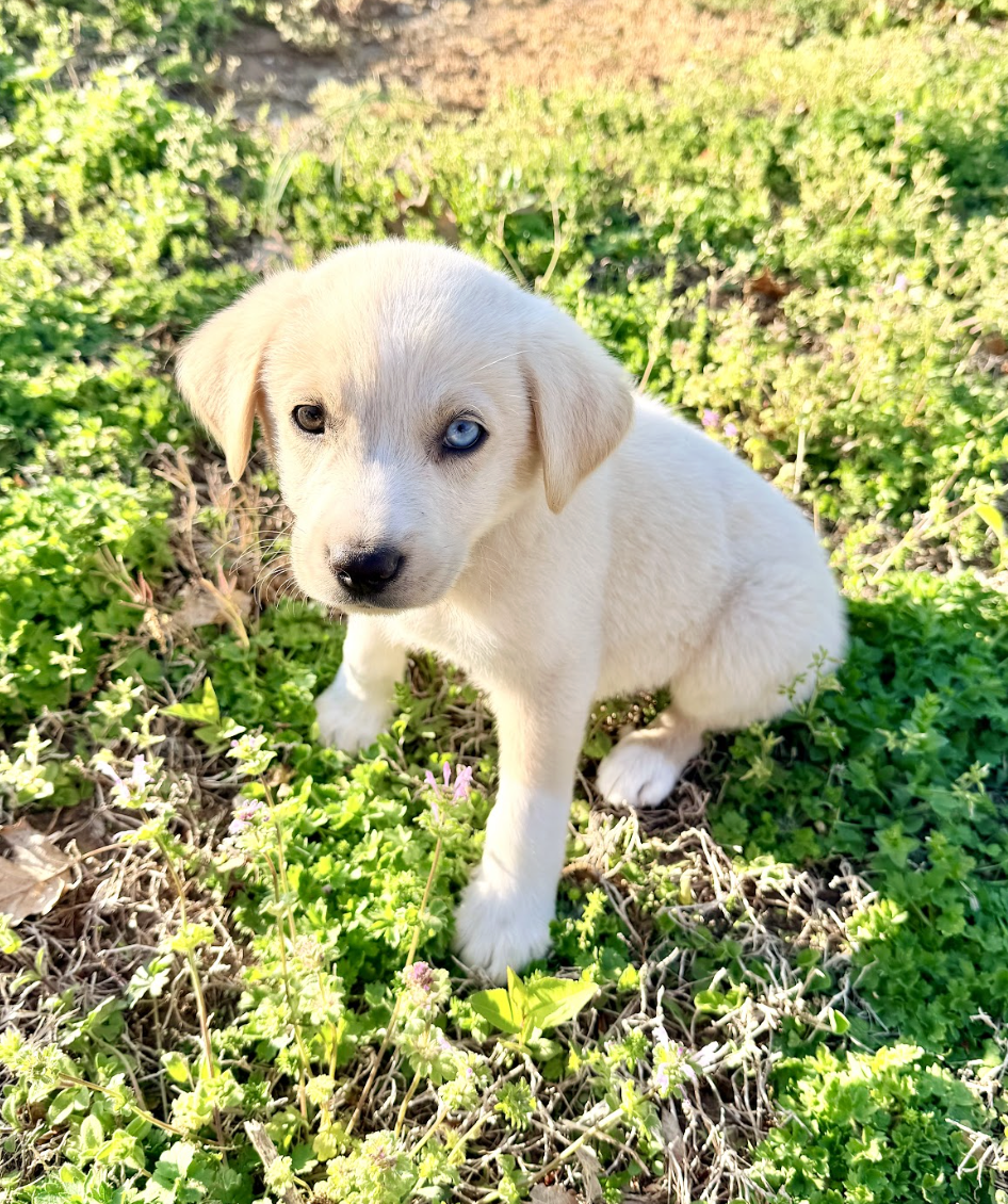 Screenshot 2026-04-16 at 4.49.23 PM.png