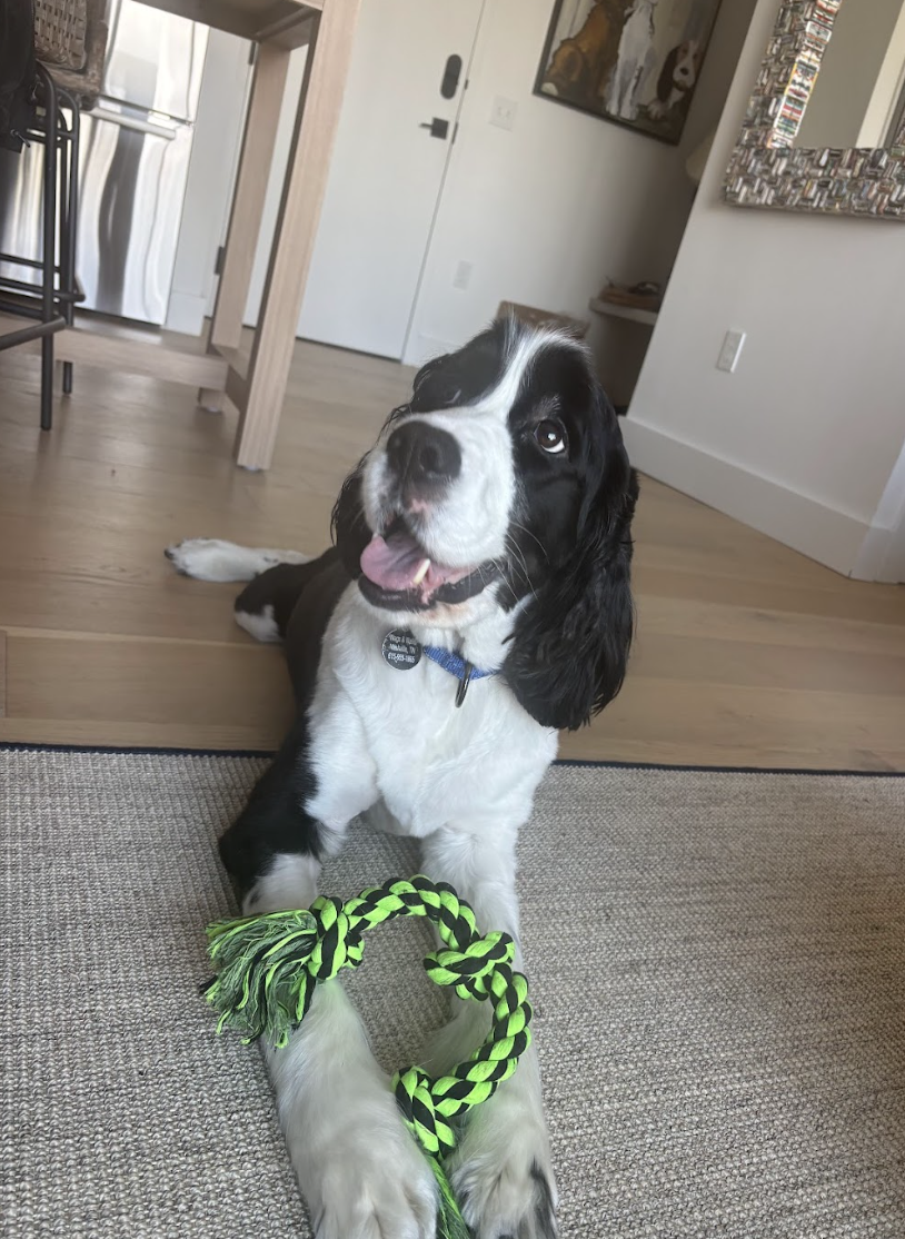 Screenshot 2026-04-06 at 1.16.13 PM.png