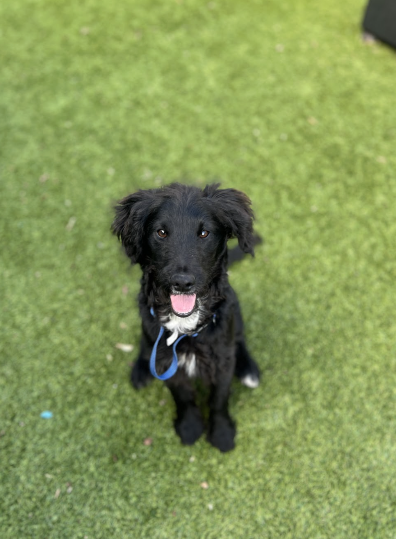 Screenshot 2026-01-15 at 2.58.17 PM.png